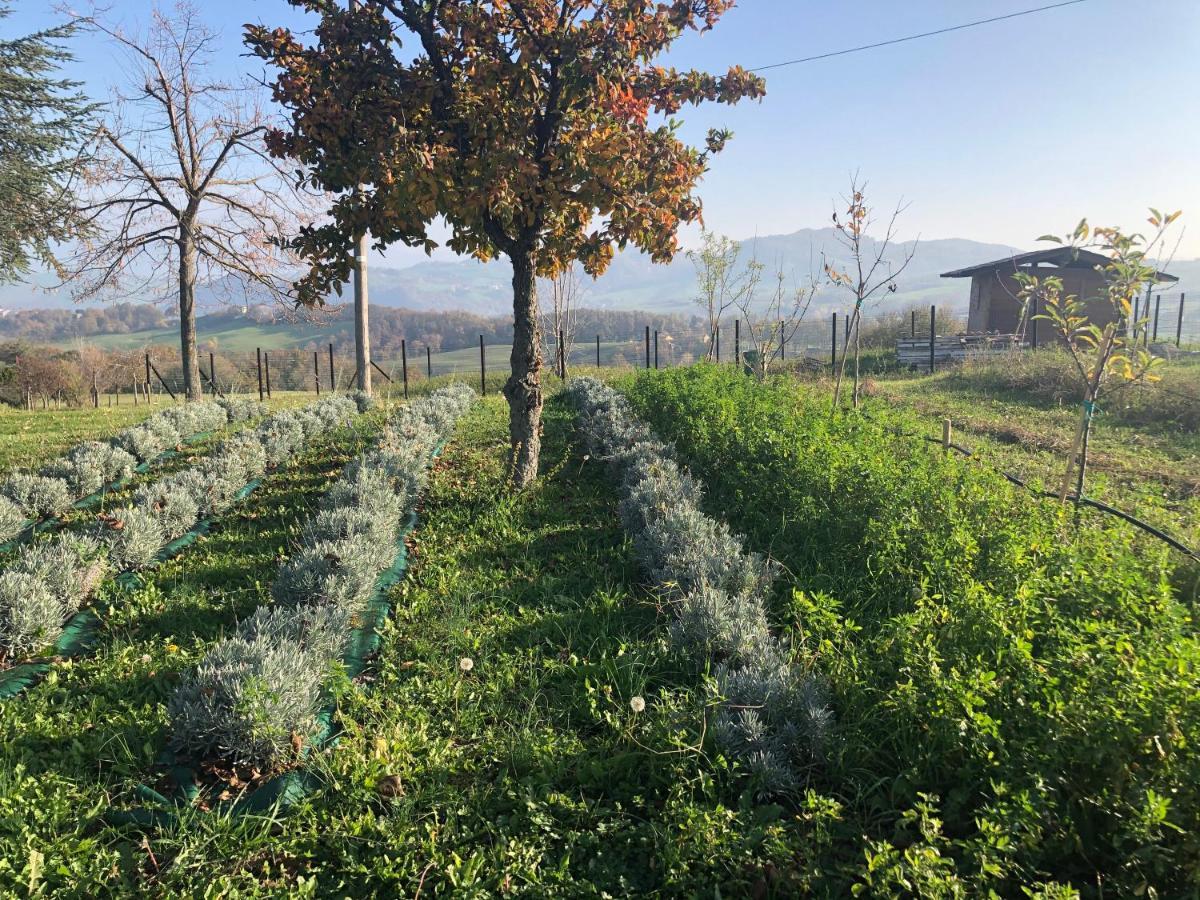 La Baita Nei Boschi Villa Serramazzoni Exterior foto