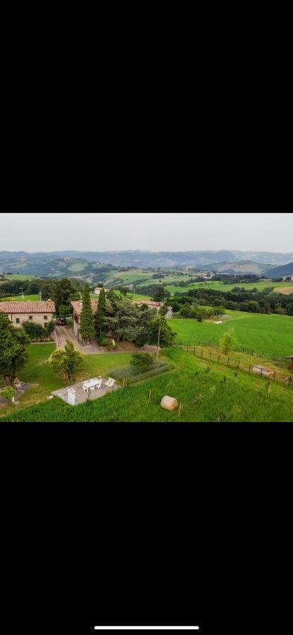 La Baita Nei Boschi Villa Serramazzoni Exterior foto
