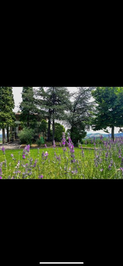 La Baita Nei Boschi Villa Serramazzoni Exterior foto