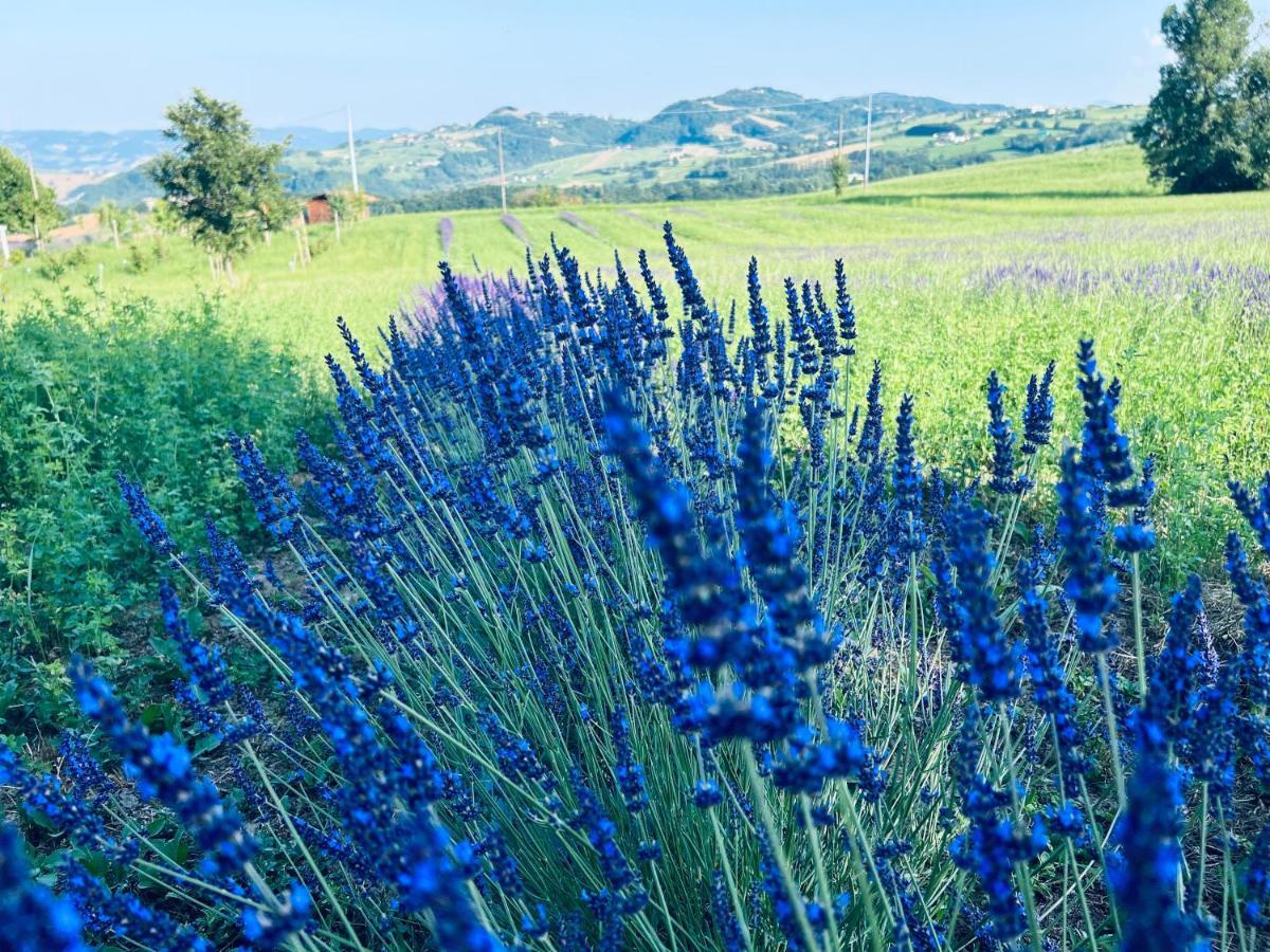 La Baita Nei Boschi Villa Serramazzoni Exterior foto