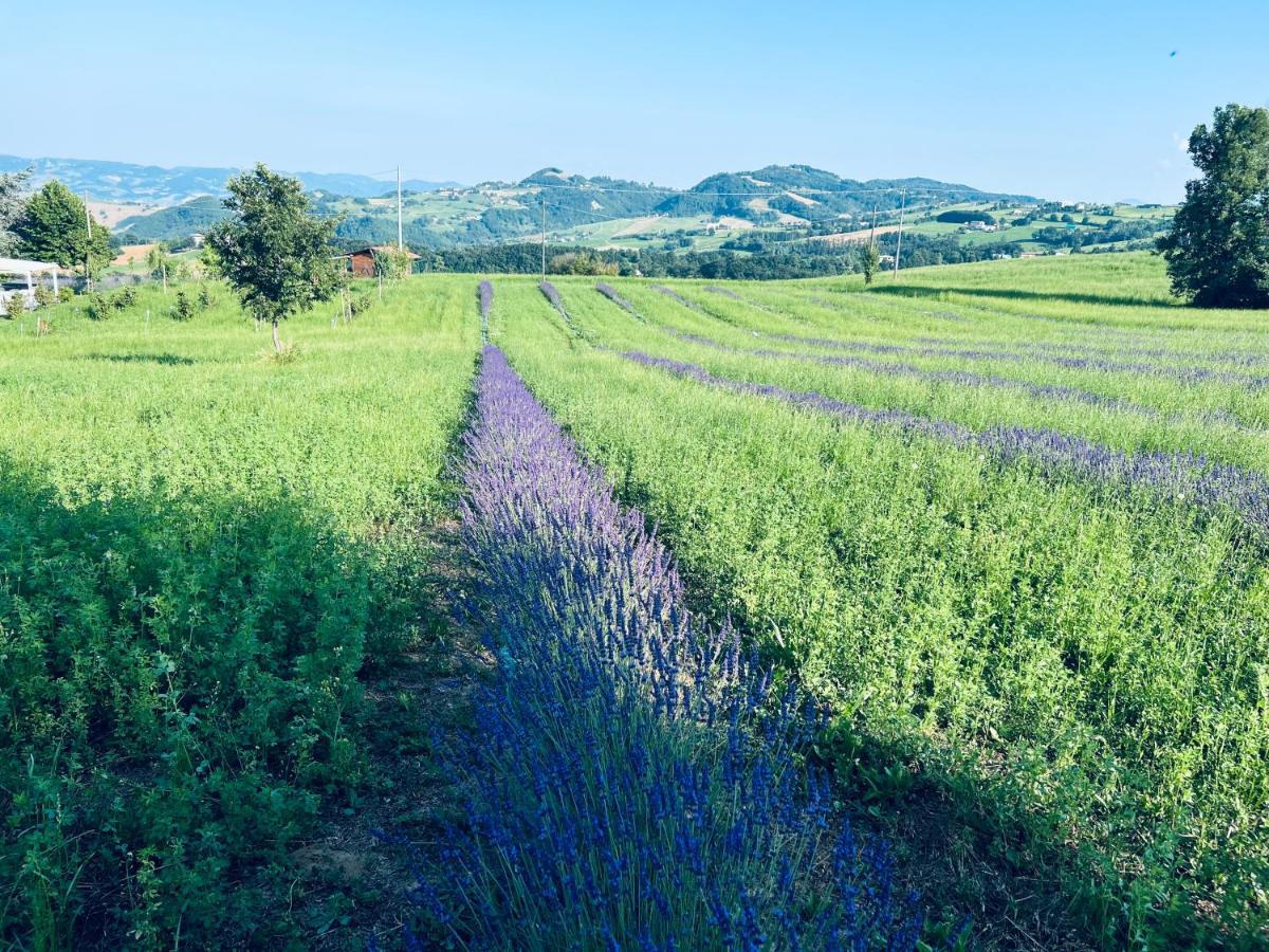 La Baita Nei Boschi Villa Serramazzoni Exterior foto