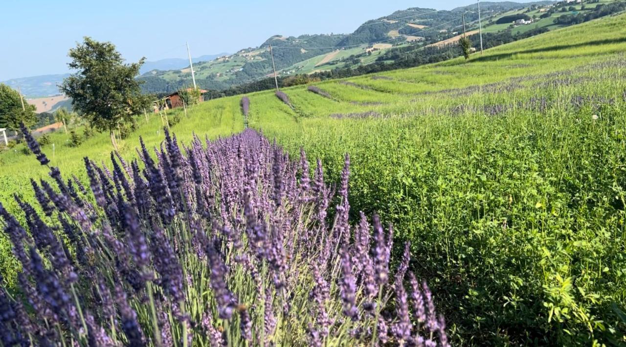 La Baita Nei Boschi Villa Serramazzoni Exterior foto