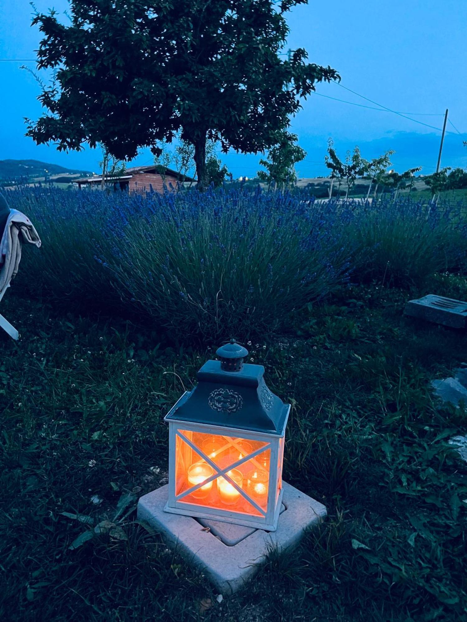 La Baita Nei Boschi Villa Serramazzoni Exterior foto